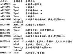 Figure BDA0000057170160002122