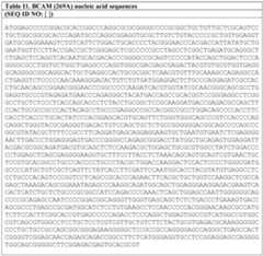 Figure imgf000027_0001