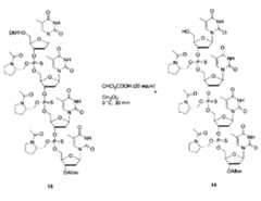 Figure 0007075681000022