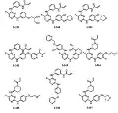 Figure BPA00001280125600821