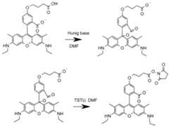 Figure imgf000065_0001
