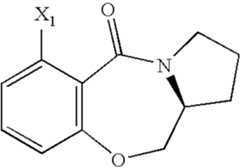 Figure US07521457-20090421-C00510