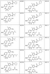 Figure imgf000036_0001