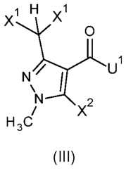 Figure imgf000010_0002