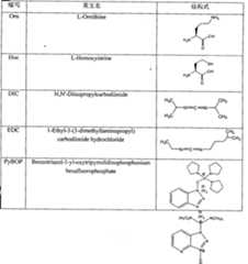 Figure A200710198751D00221