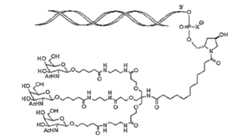 Figure 112108125-A0305-13-0009-6
