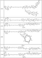 Figure FDA0002889616210000711