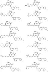 Figure BDA0000392638820000201