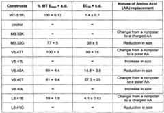 Figure imgf000039_0001