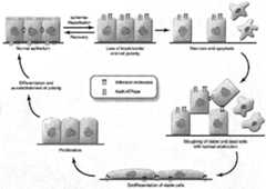 Figure imgf000020_0001