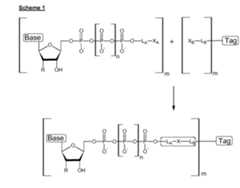 Figure imgf000024_0001