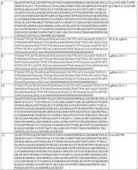 Figure BDA0004183790070000611