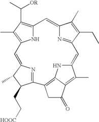 Figure US07053210-20060530-C00005