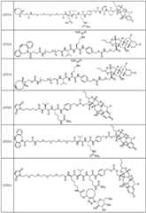 Figure FDA0002889616210000681