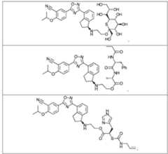 Figure imgf000043_0002
