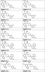 Figure FDA0003289571880000261