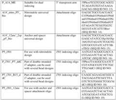 Figure imgf000032_0001