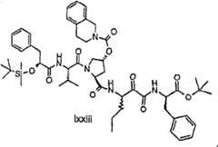 Figure G2009101493490D01982