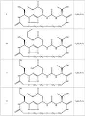 Figure BDA0001220419200000051