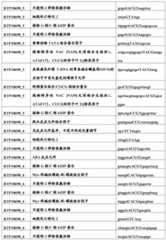 Figure BDA0001349734580003881