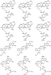 Figure imgf000061_0001