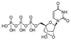 Figure imgf000068_0001