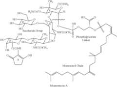 Figure US10106833-20181023-C00001