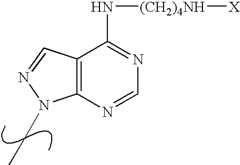 Figure US06844433-20050118-C00038