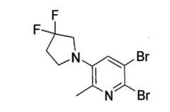 Figure 113105161-A0202-12-0125-190