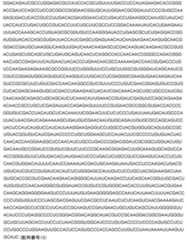 Figure 2024542085000022