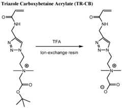 Figure imgf000081_0001