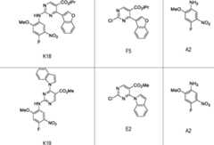 Figure AU2015277786B2_D0231