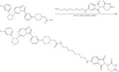 Figure US11969472-20240430-C00290