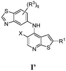 Figure FDA0003344994040000011