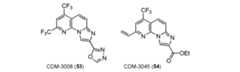Figure JPOXMLDOC01-appb-C000064