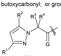 Figure imgf000021_0002