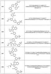 Figure imgf000429_0001