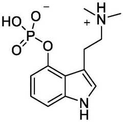 Figure FDA0003676072490000074