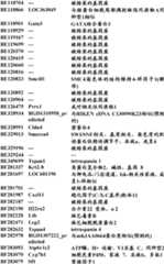 Figure BDA0000057170160001131