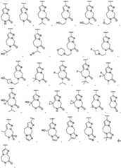 Figure FDA0002911816750000181