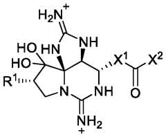 Figure imgf000024_0002