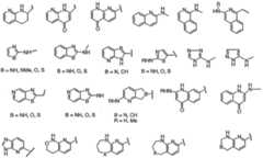 Figure imgf000013_0002
