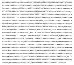 Figure 112013088873035-pat00105