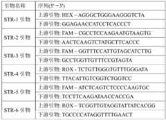 Figure GDA0003364969730000031