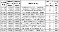 Figure BDA0003282506760001192