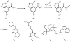 Figure imgf000011_0001