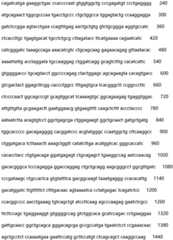 Figure IDA0002935257620000141