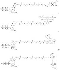 Figure BDA0003670511740002411