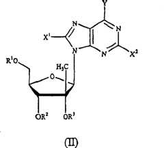 Figure A200810108140D00261