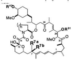 Figure imgf000078_0002